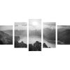 5-dielny obraz prekrásny pohľad na letnú prírodu v čiernobielom prevedení
