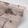 Samolepiaca tapeta mapa sveta so symbolickými zvieratami na drevenom podklade