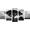 5-dielny obraz obraz nádherný slon v čiernobielom prevedení