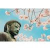 Samolepiaca tapeta Budha s kvetmi čerešne