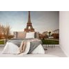 Samolepiaca fototapeta Železná dáma z Paríža