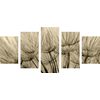 5-dielny obraz presný detail púpavy v sépiovom prevedení