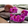 Fototapeta zen kamene s krásnymi kvetmi orchidey
