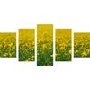 5-dielny obraz rozkvitnutá lúka