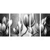 5-dielny obraz čiernobiele vintage kvety