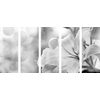 5-dielny obraz nežná ľalia v čiernobielom prevedení