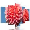 5-dielny obraz romantická ružová dália