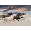 Očarujúca samolepiaca tapeta stádo cválajúcich koní