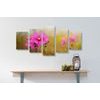 5-dielny obraz kvitnúce lúčne kvety