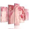 5-dielny obraz detail na ružové kvety