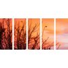 5-dielny obraz oranžová obloha
