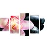 5-dielny obraz ružový kvet orchidei