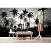 Samolepiaca tapeta kokosové palmy v žiare slnka v čiernobielom prevedení