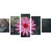 5-dielny obraz nádherný lotosový kvet