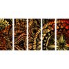 5-dielny obraz nádherne oranžová Mandala