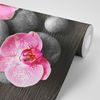 Samolepiaca fototapeta ružové kvety orchidey s kameňmi