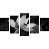 5-dielny obraz nádherny kvet v čiernobielom prevedení