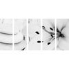5-dielny obraz Feng Shui zátišie v čiernobielom prevedení