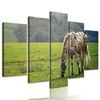 5-dielny obraz krásny kôň pasúci sa na lúke