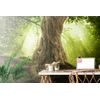 Samolepiaca tapeta mohutné korene stromu
