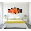 5-dielny obraz oranžová dália