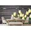 Samolepiaca fototapeta žlté tulipány v elegantnom prevedení