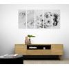5-dielny obraz luxusné zátišie v čiernobielom prevedení