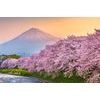Obraz romantický pohľad na sopku Fuji