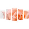 5-dielny obraz precízny detail na oranžovú ružu