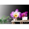 Tapeta relaxačné zátišie s orchideou