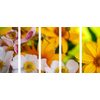5-dielny obraz nádherné kvety v letných farbách