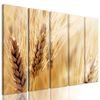 5-dielny obraz detail pšenice