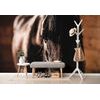 Originálna samolepiaca fototapeta vznešený kôň