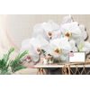 Samolepiaca tapeta krása bielej orchidey na plátne