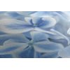 Obraz belasé kvety hortenzie