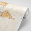 Tapeta vintage mapa sveta
