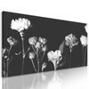 Obraz nádherné kvety v čiernobielom prevedení
