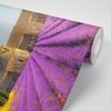 Samolepiaca fototapeta levanduľové Provensálsko