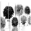 5-dielny obraz čiernobiele kvety dálie