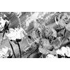 Obraz čiernobiela maľba kvetov
