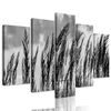 5-dielny obraz poľná tráva s nebeským pozadím v čiernobielom prevedení