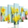 5-dielny obraz krásne jarné kvety