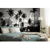 Samolepiaca tapeta kokosové palmy v žiare slnka v čiernobielom prevedení