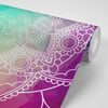 Samolepiaca tapeta Mandala na farebnom pozadí