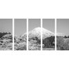 5-dielny obraz Japonská sopka Fuji v čiernobielom prevedení