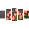 5-dielny obraz krásne tulipány v jarnej záhrade