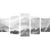 5-dielny obraz divoké čajky v čiernobielom prevedení