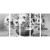 5-dielny obraz čiernobiele kvety vo vintage prevedení