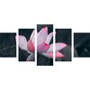 5-dielny obraz nádherny kvet