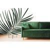 Fototapeta minimalistický list palmy